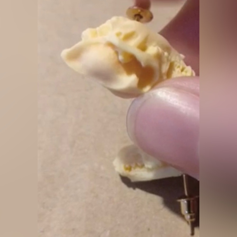 “Animal Skull” Dinosaur Sabertooth Wolf Dog Oddity Creepy Spooky Replica Studs - Picture 9 of 12
